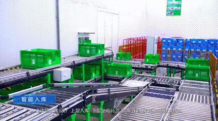 6.gif
