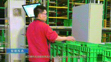 9.gif
